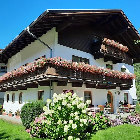 Appartement Haus Traudl à Mayrhofen Extérieur photo