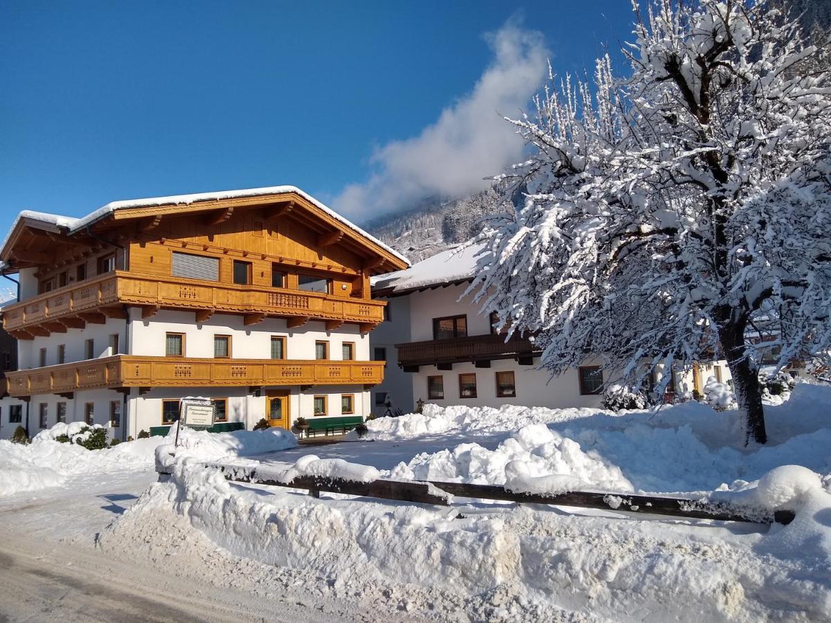 Appartement Haus Traudl à Mayrhofen Extérieur photo