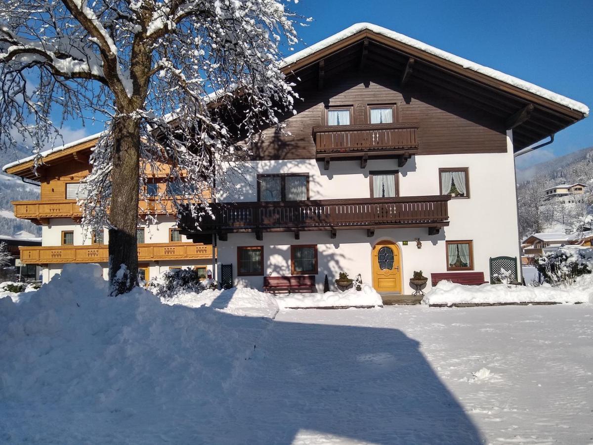 Appartement Haus Traudl à Mayrhofen Extérieur photo